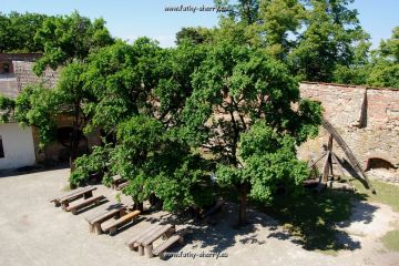 29-Boskovice-posezeni_pod_stromy.jpg